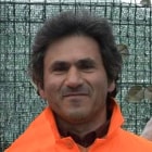 santucci pino