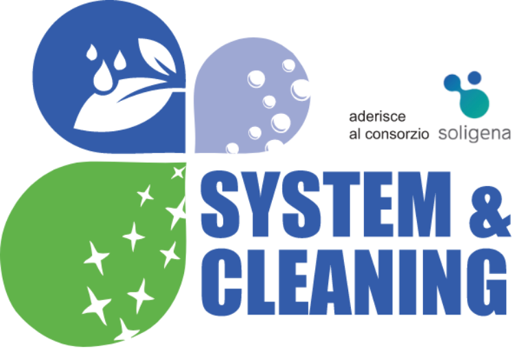 System Clean professional